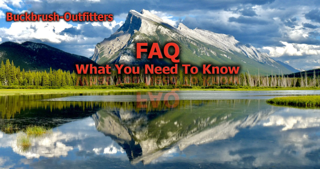 FAQ's