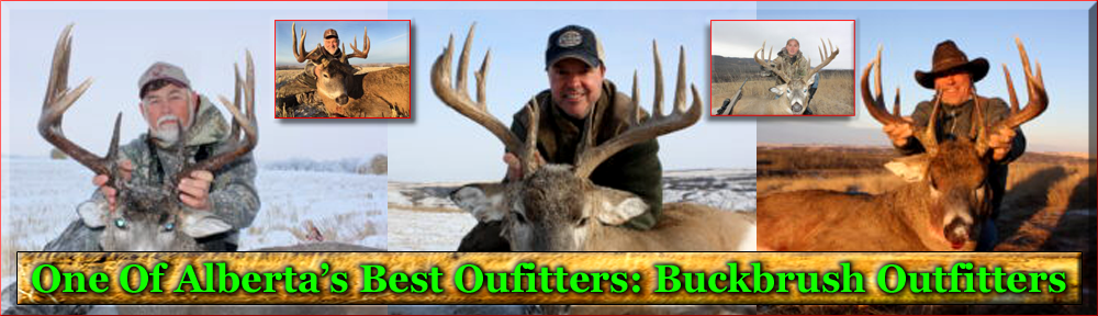 Best Outfitters In Alberta is Buckbrush Outfitters